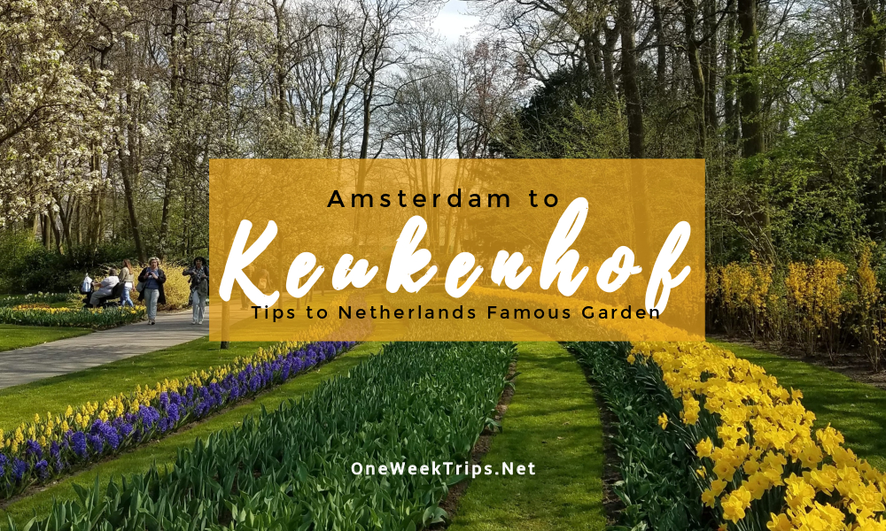 Amsterdam to Keukenhof: Tips to Netherlands’ Famous Tulip Garden