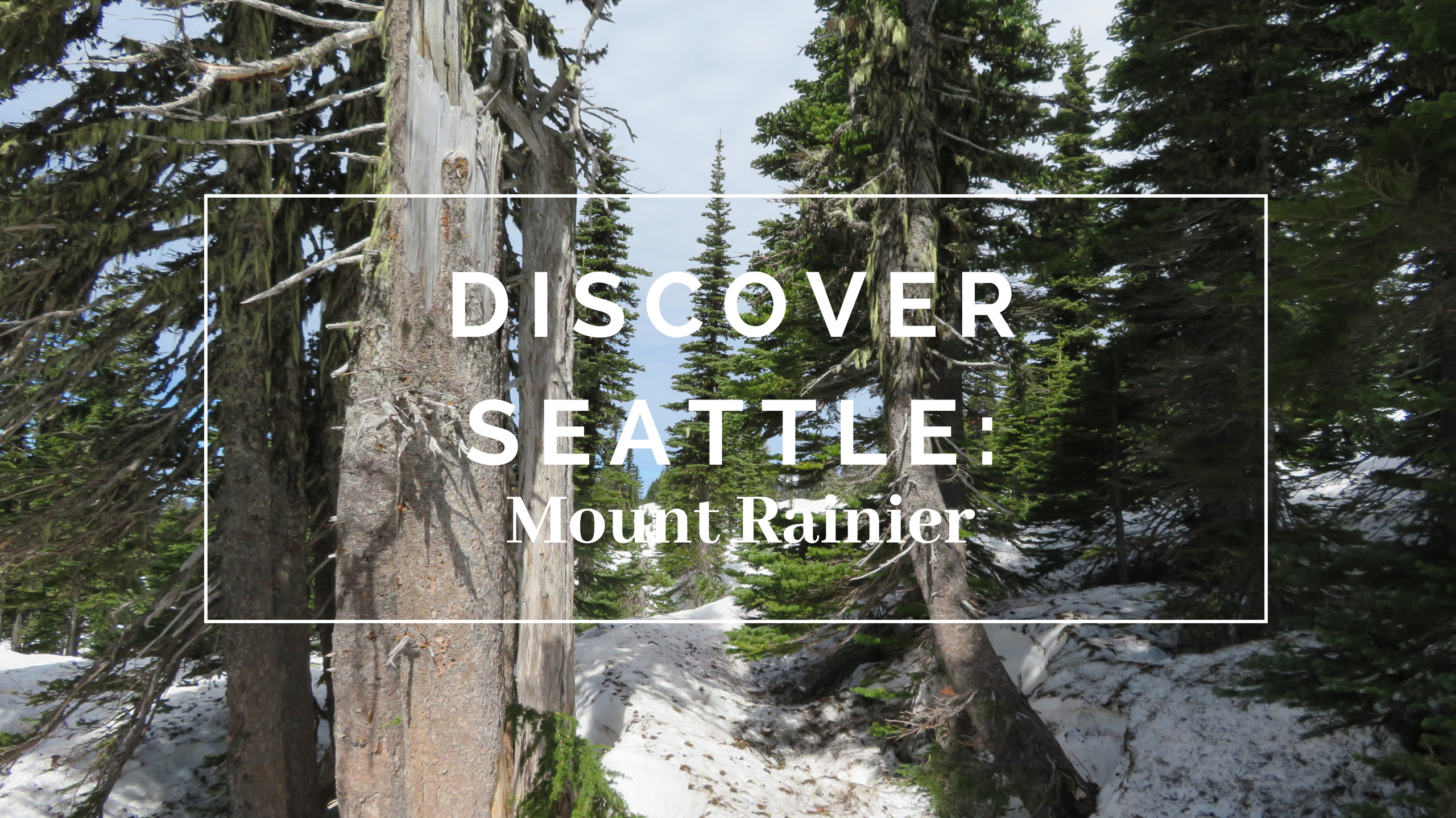Discover Seattle: Mount Rainier
