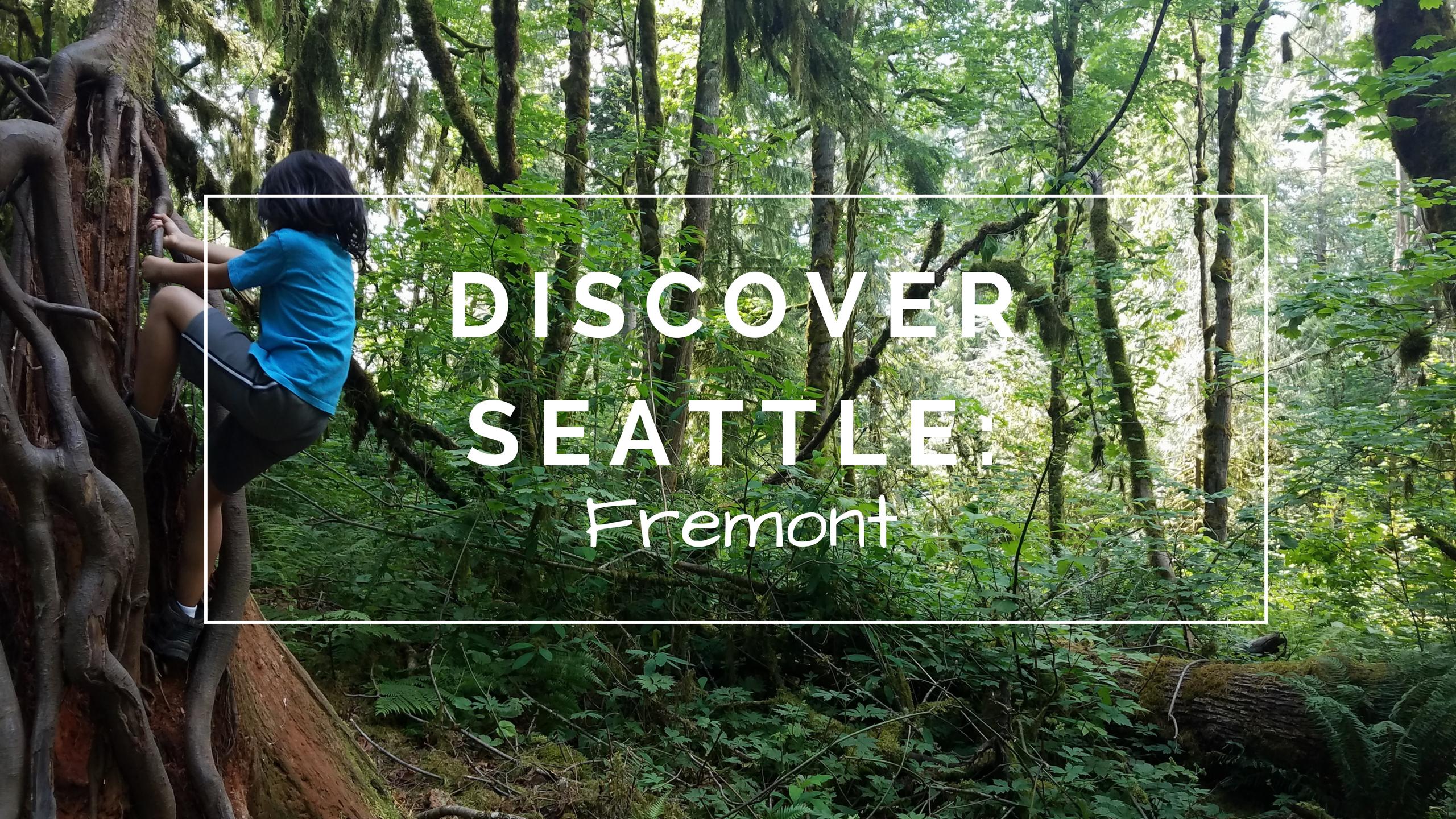 Discover Seattle: Fremont