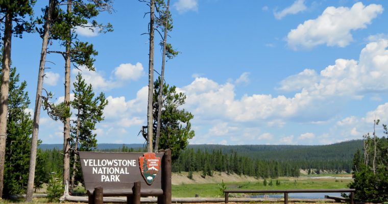 How to Spend a Day at Yellowstone National Park